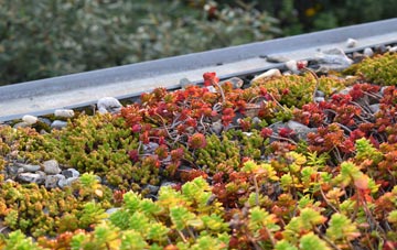 the cost of Kilconquhar green roof installation