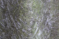 Kilconquhar fibreglass roof work